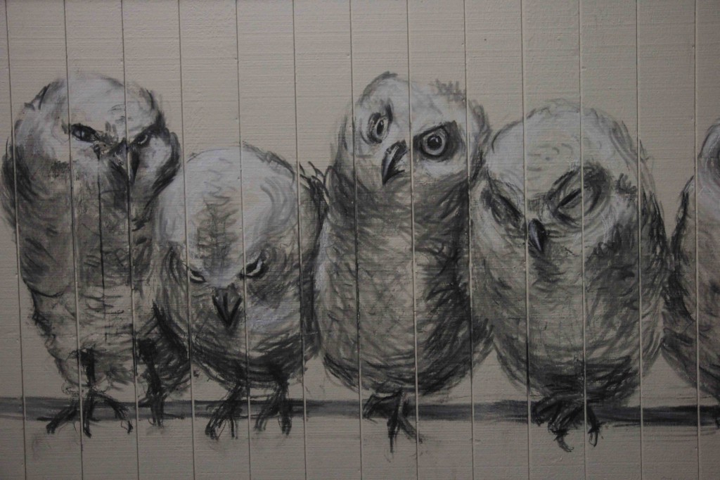 9.Owls Detail 2