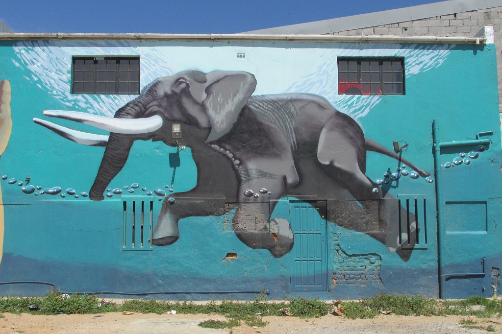 A Tour of Cape Town’s Eclectic Street Art