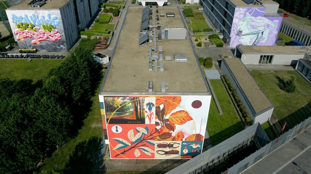 Fabio Petani mural in Turin