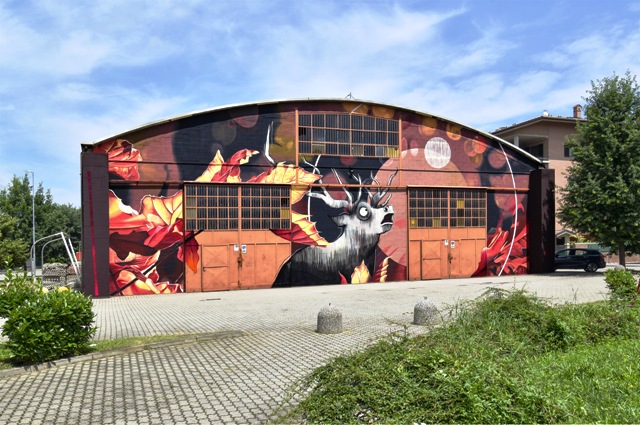 Mural by Fabio Petani with MrFijodor in Vigone (IT)