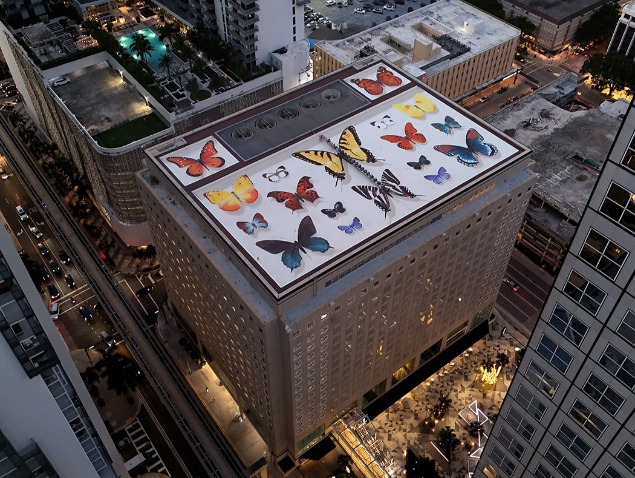 Mantra’s largest rooftop art in Miami