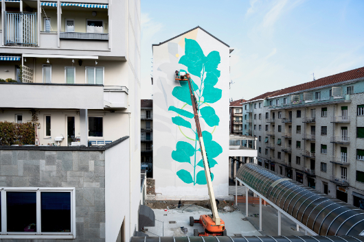 Fabio Petani new mural in Pinerolo